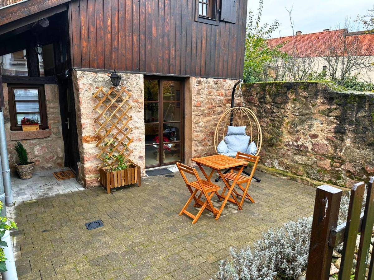 Le Petit Chataignier - Cozy Immo Châtenois Exterior foto
