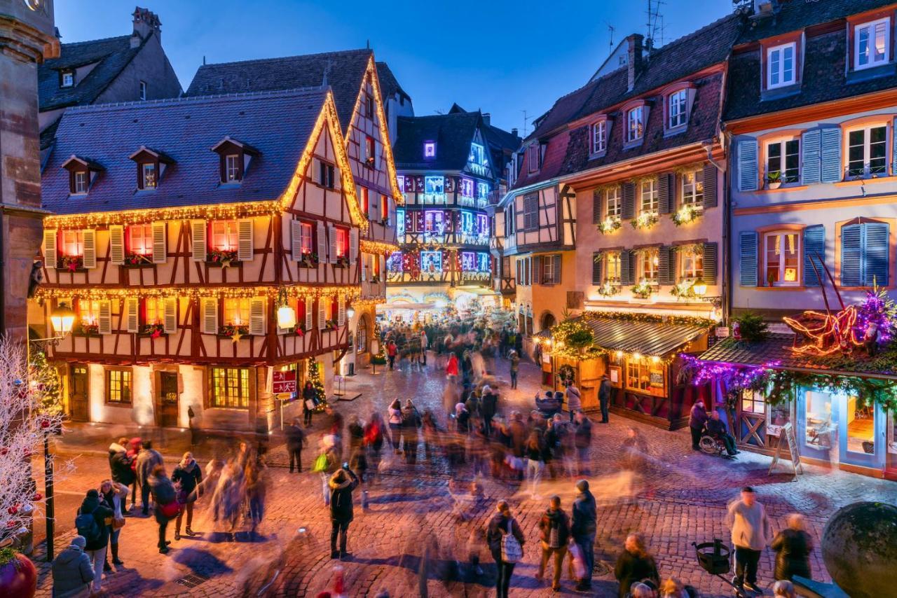 Le Petit Chataignier - Cozy Immo Châtenois Exterior foto